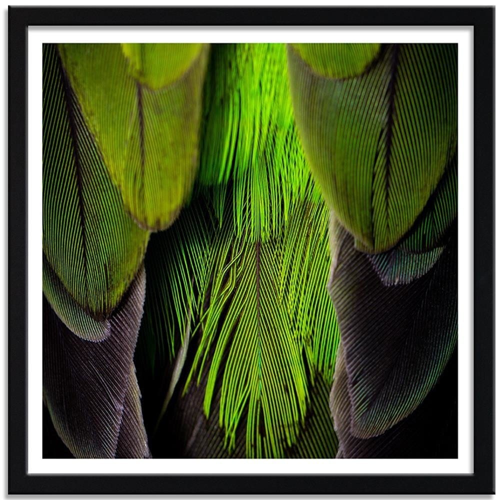 Glezna melnā rāmī - Green Feathers Home Trends