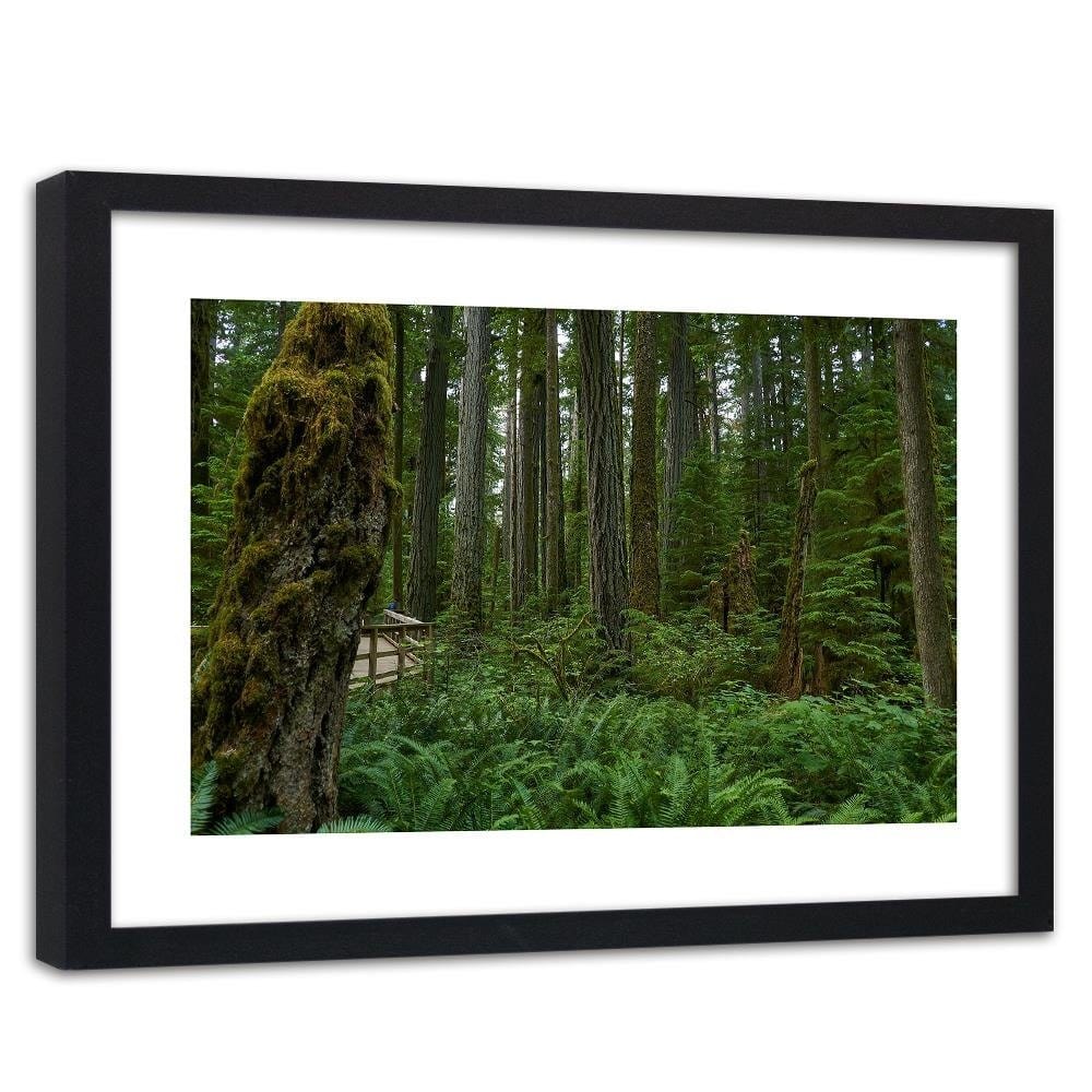 Glezna melnā rāmī - Green Ferns In The Forest Home Trends