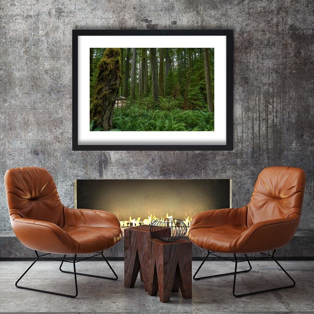 Glezna melnā rāmī - Green Ferns In The Forest Home Trends