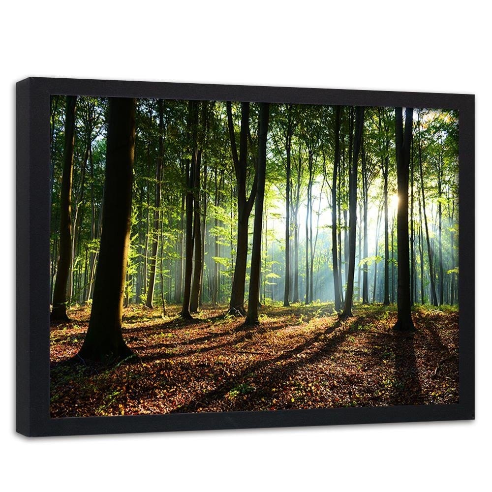 Glezna melnā rāmī - Green Forest Home Trends