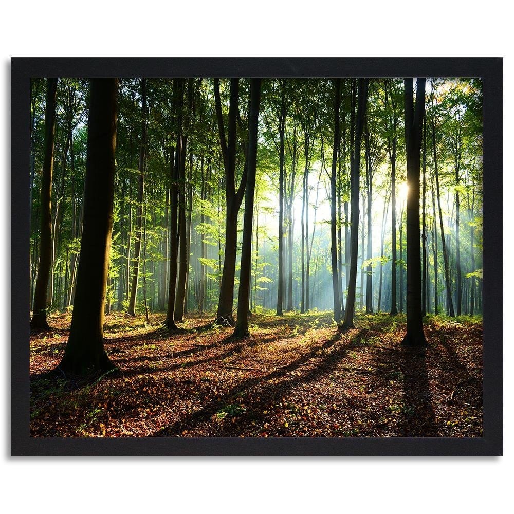 Glezna melnā rāmī - Green Forest Home Trends