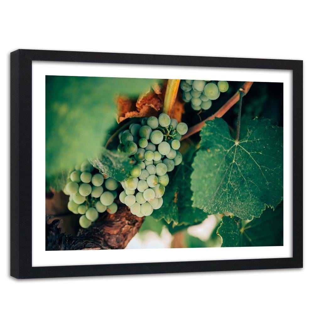 Glezna melnā rāmī - Green Grapes Home Trends