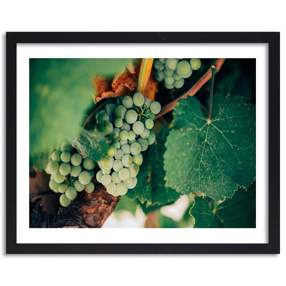 Glezna melnā rāmī - Green Grapes Home Trends