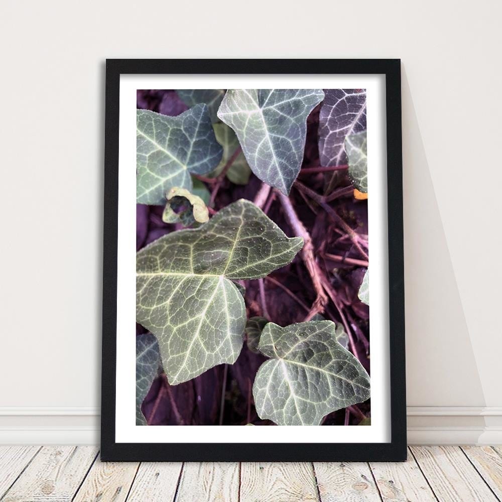 Glezna melnā rāmī - Green Ivy Home Trends