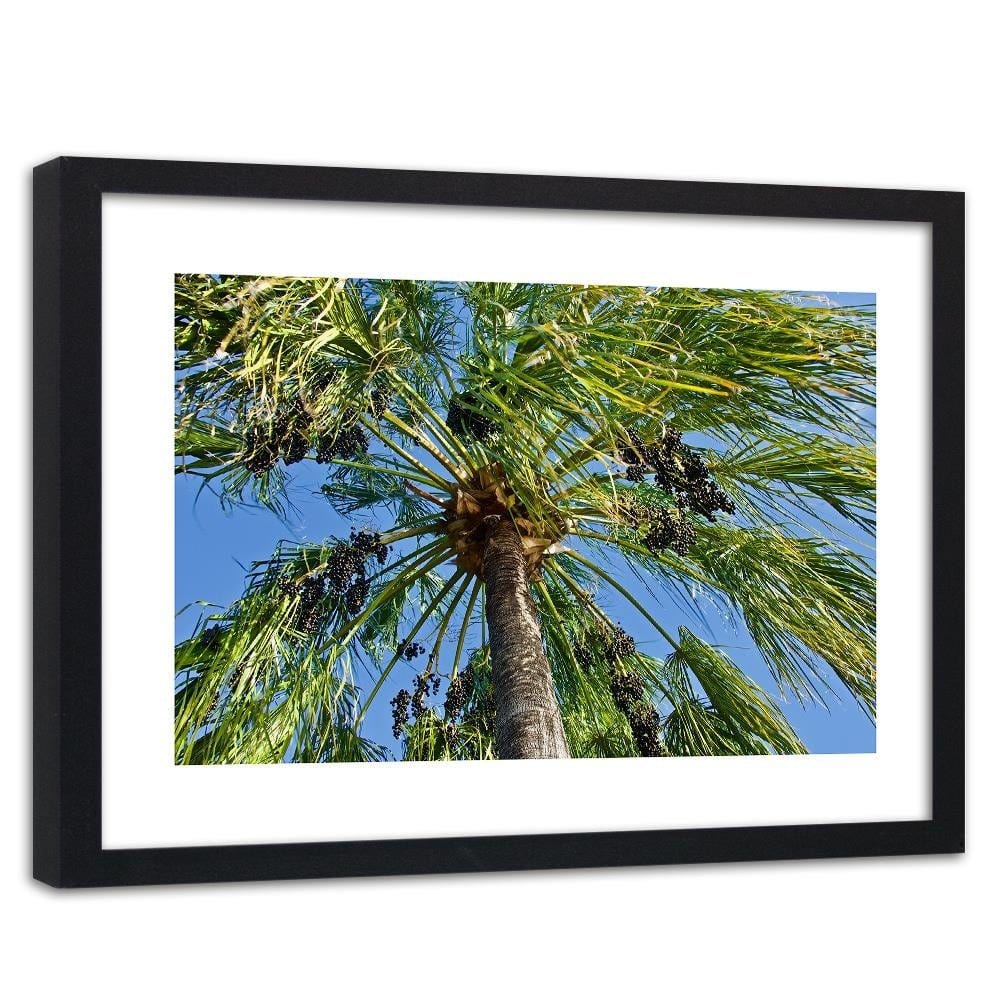 Glezna melnā rāmī - Green Palm Home Trends