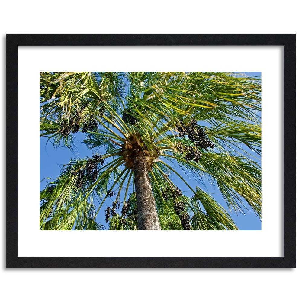 Glezna melnā rāmī - Green Palm Home Trends