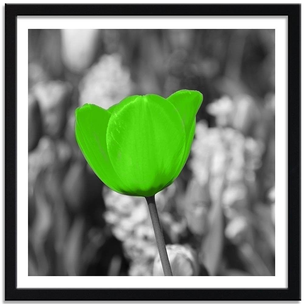 Glezna melnā rāmī - Green Poppy Meadow Home Trends