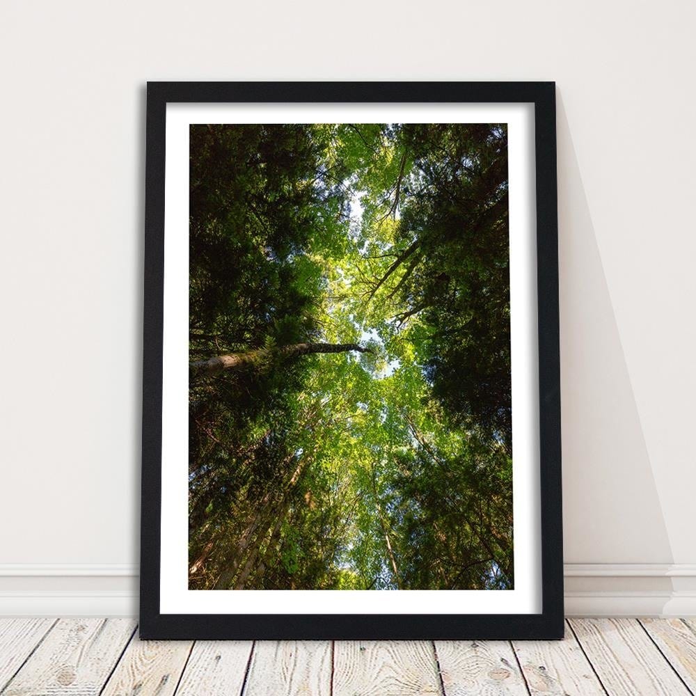 Glezna melnā rāmī - Green Treetops Home Trends