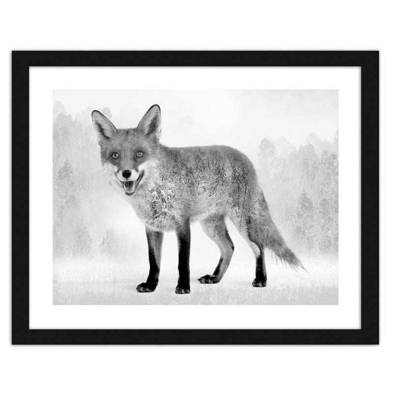 Glezna melnā rāmī - Grey fox 2 Home Trends