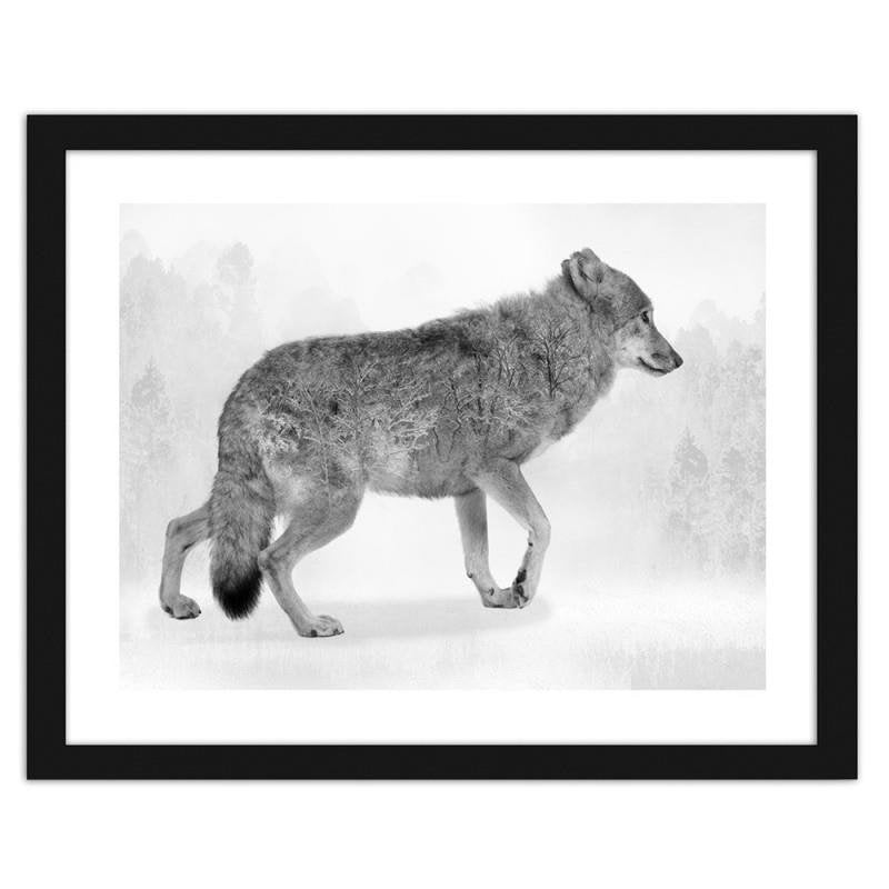 Glezna melnā rāmī - Grey wolf 2 Home Trends