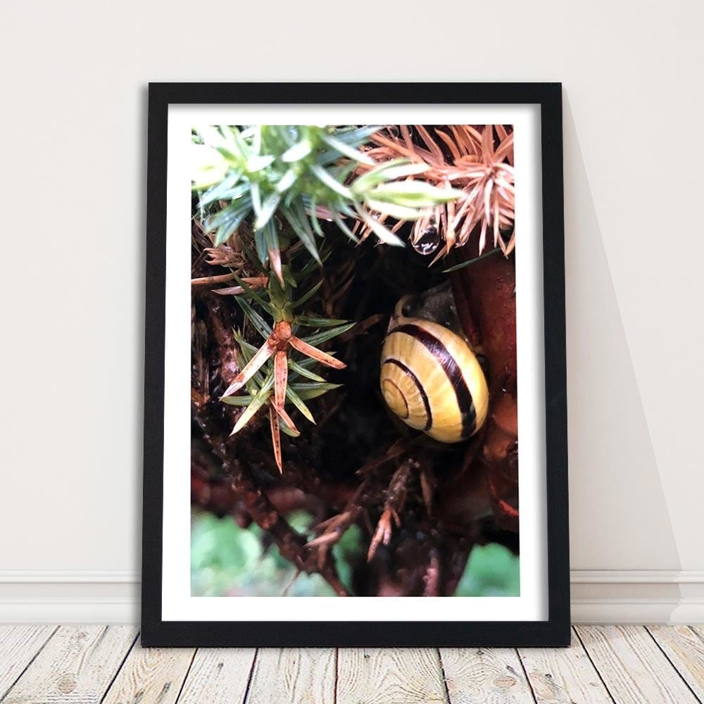 Glezna melnā rāmī - Hideout Worm Home Trends