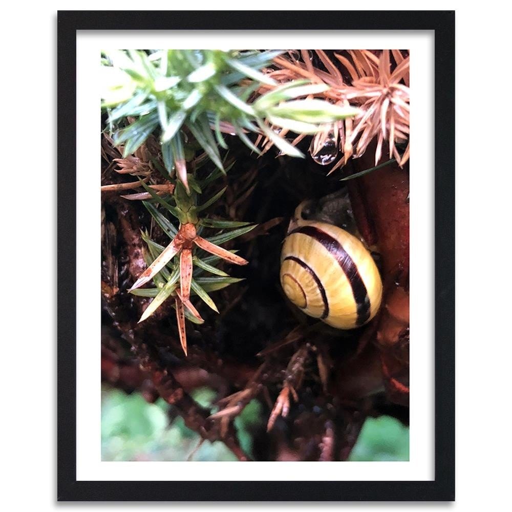 Glezna melnā rāmī - Hideout Worm Home Trends