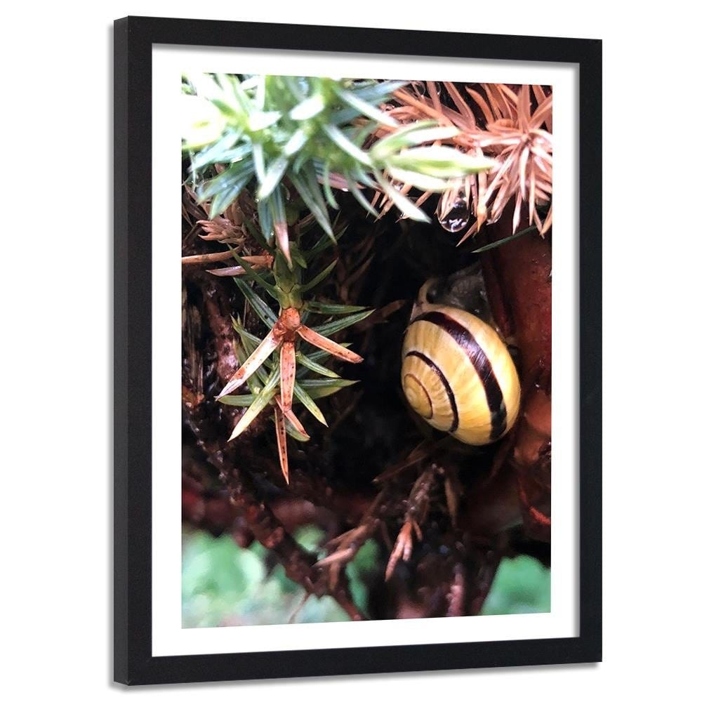 Glezna melnā rāmī - Hideout Worm Home Trends