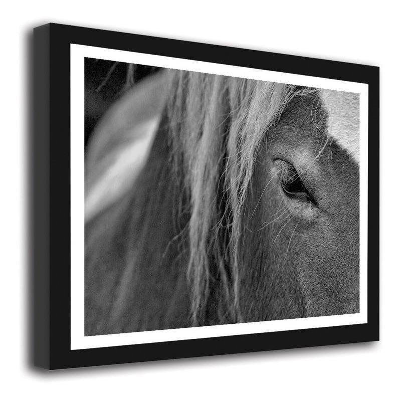 Glezna melnā rāmī - Horse 2 Home Trends