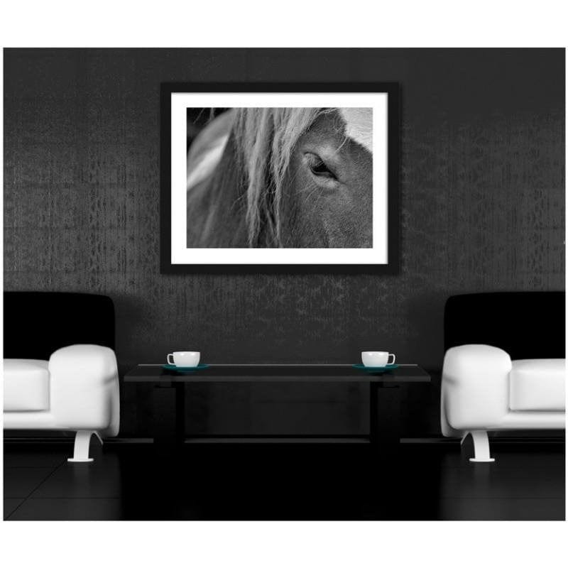 Glezna melnā rāmī - Horse 2 Home Trends
