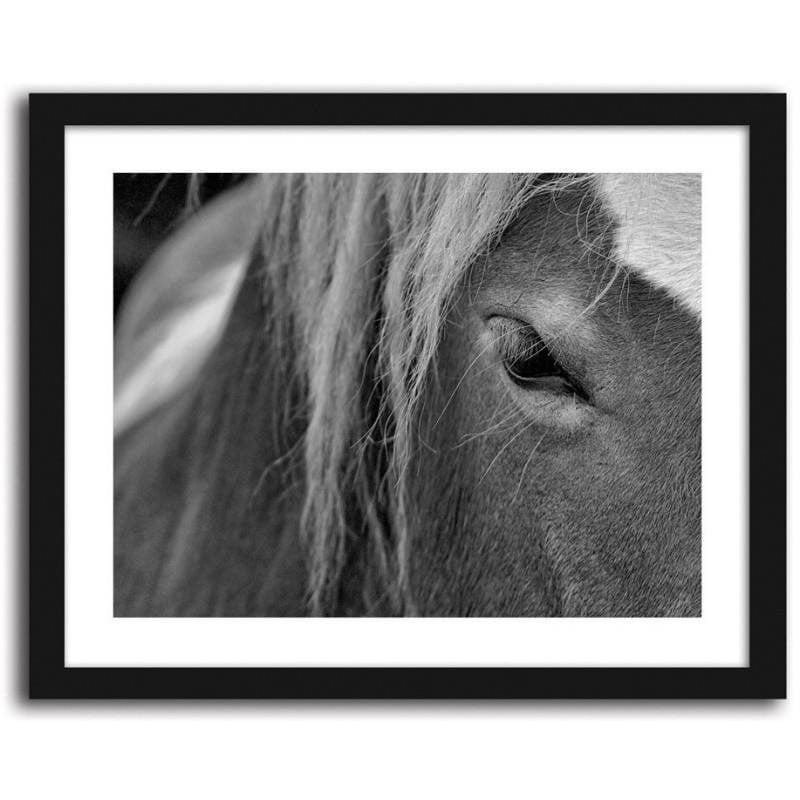 Glezna melnā rāmī - Horse 2 Home Trends