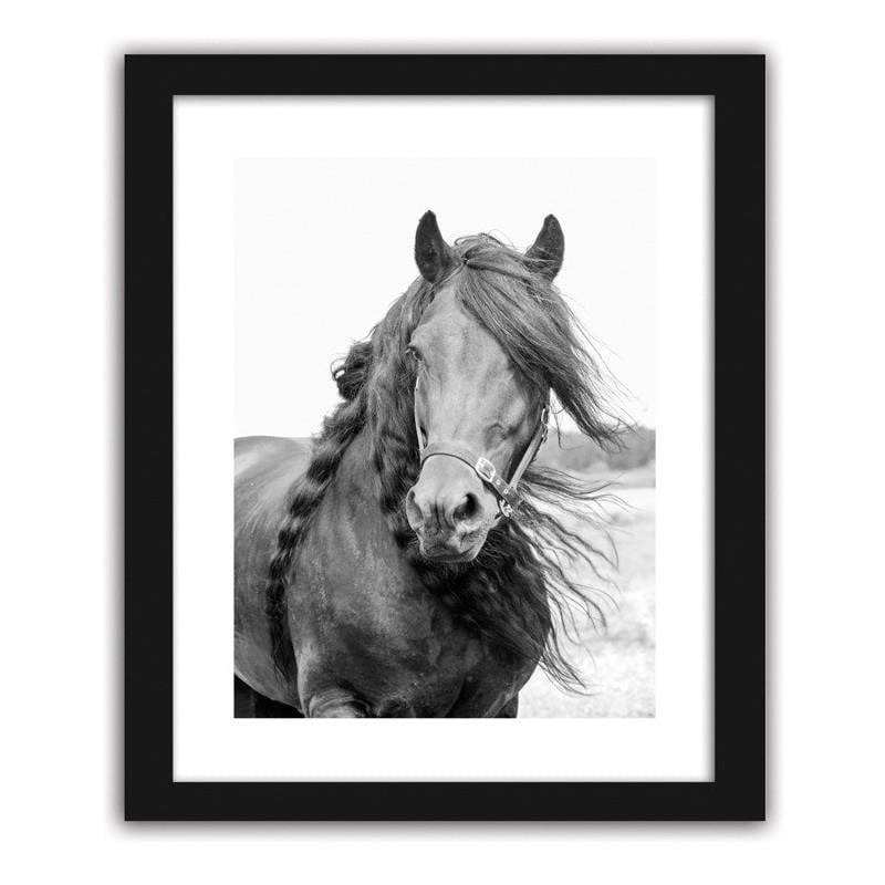 Glezna melnā rāmī - Horse 4 Home Trends