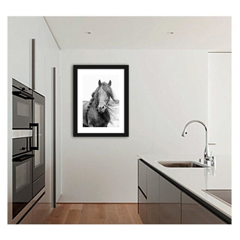 Glezna melnā rāmī - Horse 4 Home Trends