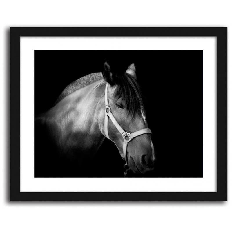 Glezna melnā rāmī - Horse on black background Home Trends