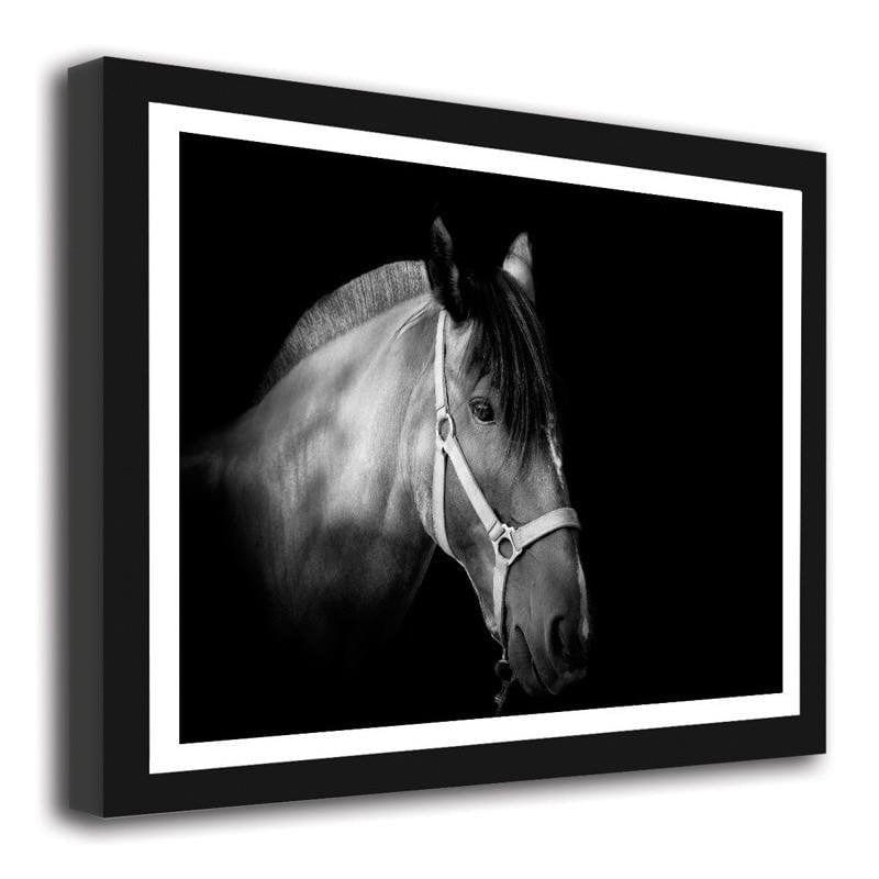 Glezna melnā rāmī - Horse on black background Home Trends