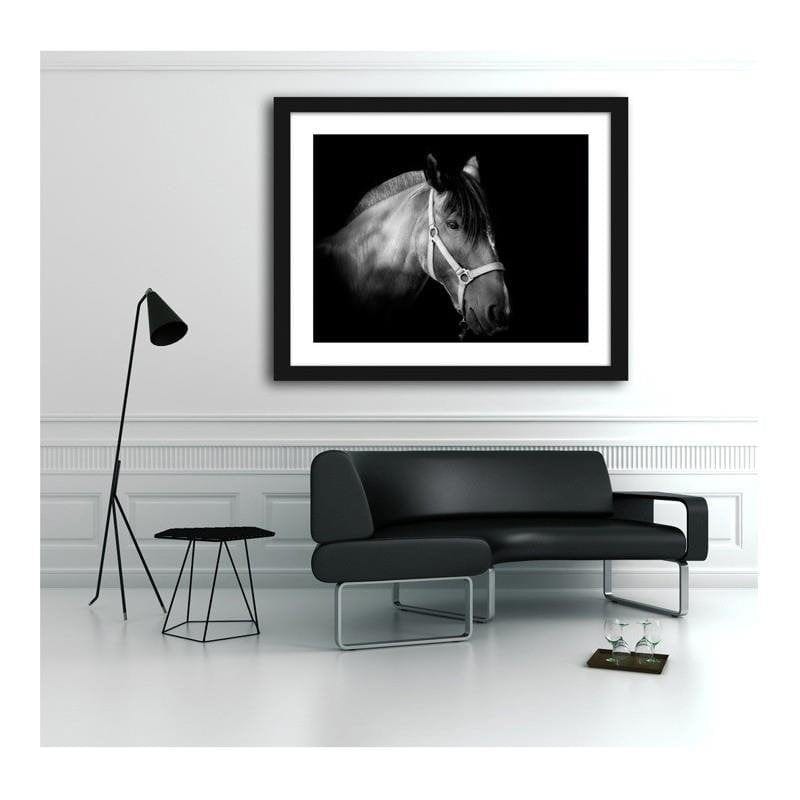 Glezna melnā rāmī - Horse on black background Home Trends