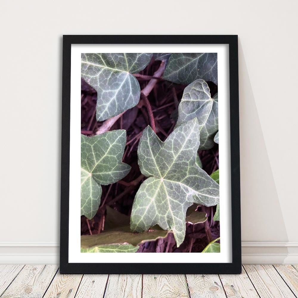 Glezna melnā rāmī - Ivy Leaves Home Trends