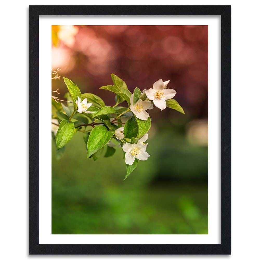 Glezna melnā rāmī - Jasmine Flowers Home Trends