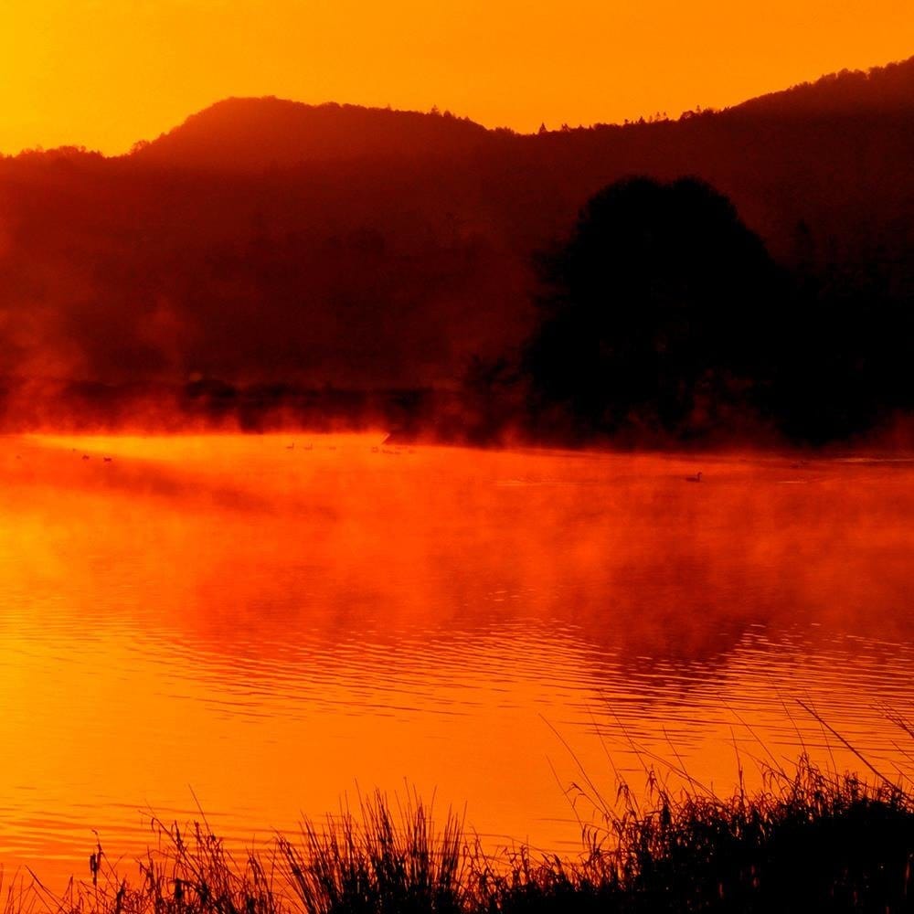 Glezna melnā rāmī - Lake In The Mist 4 Home Trends