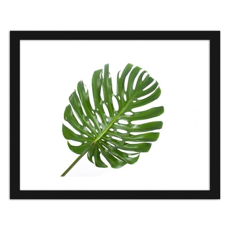Glezna melnā rāmī - Large leaf Home Trends