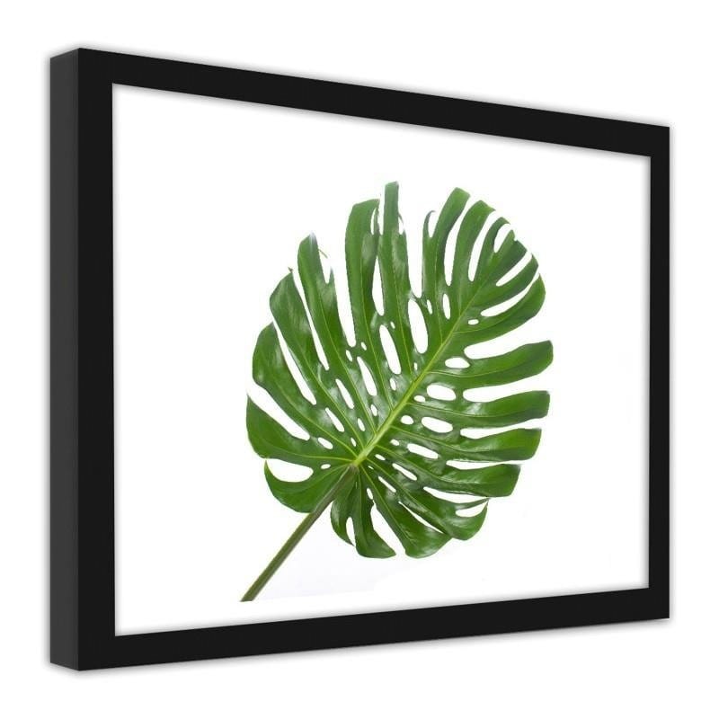 Glezna melnā rāmī - Large leaf Home Trends