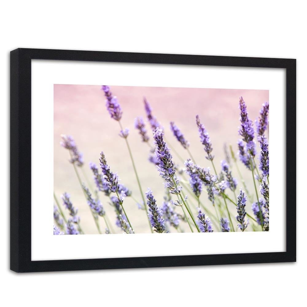 Glezna melnā rāmī - Lavender Flowers Home Trends
