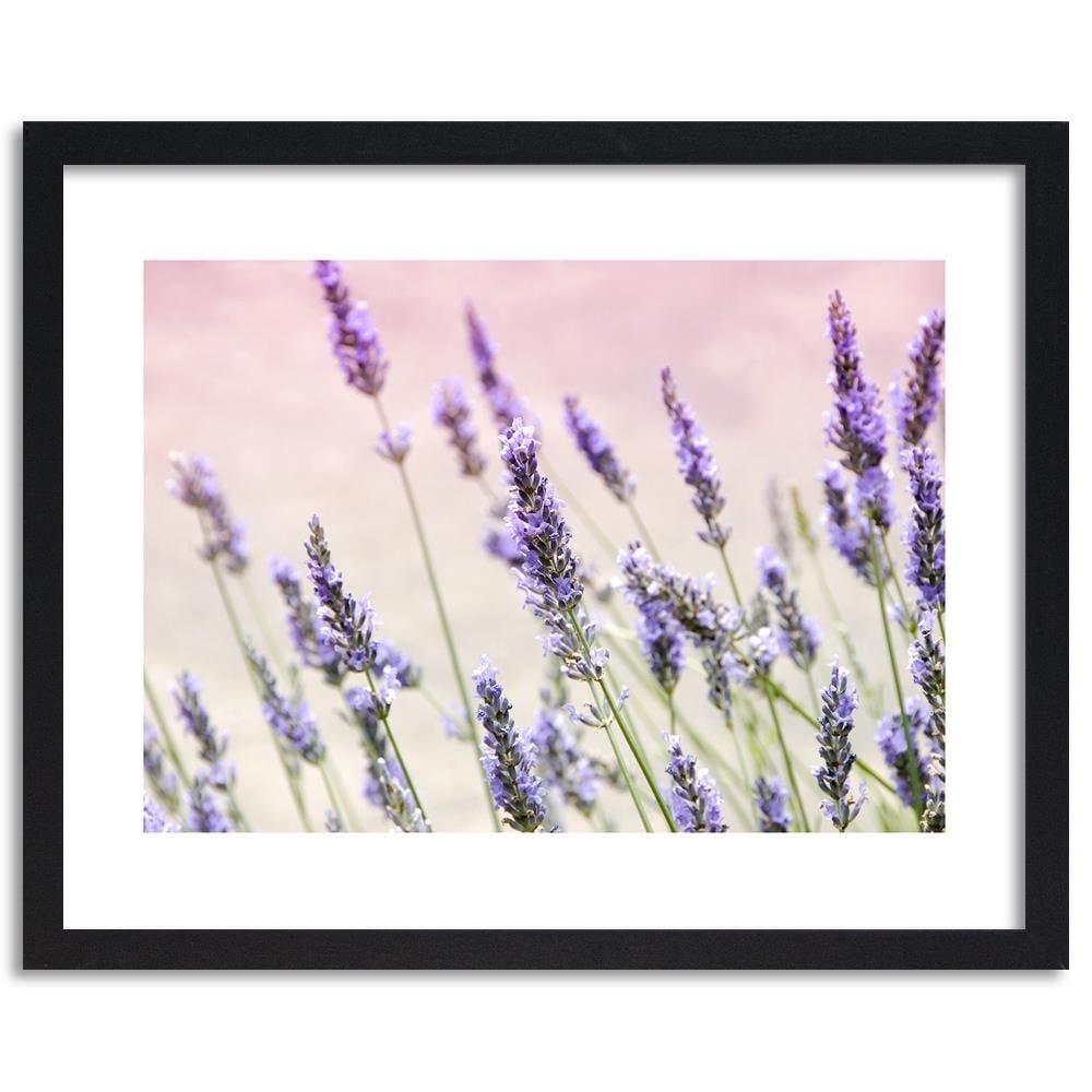 Glezna melnā rāmī - Lavender Flowers Home Trends