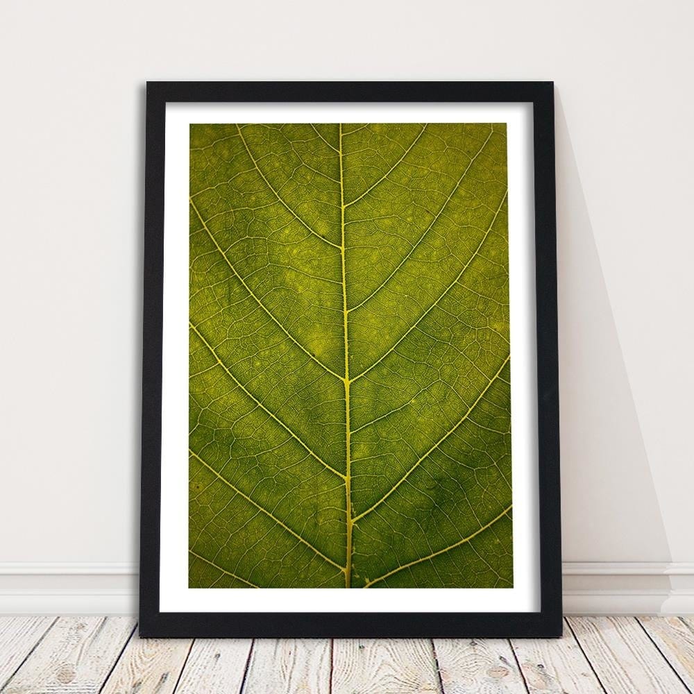 Glezna melnā rāmī - Leaf Close Up Home Trends