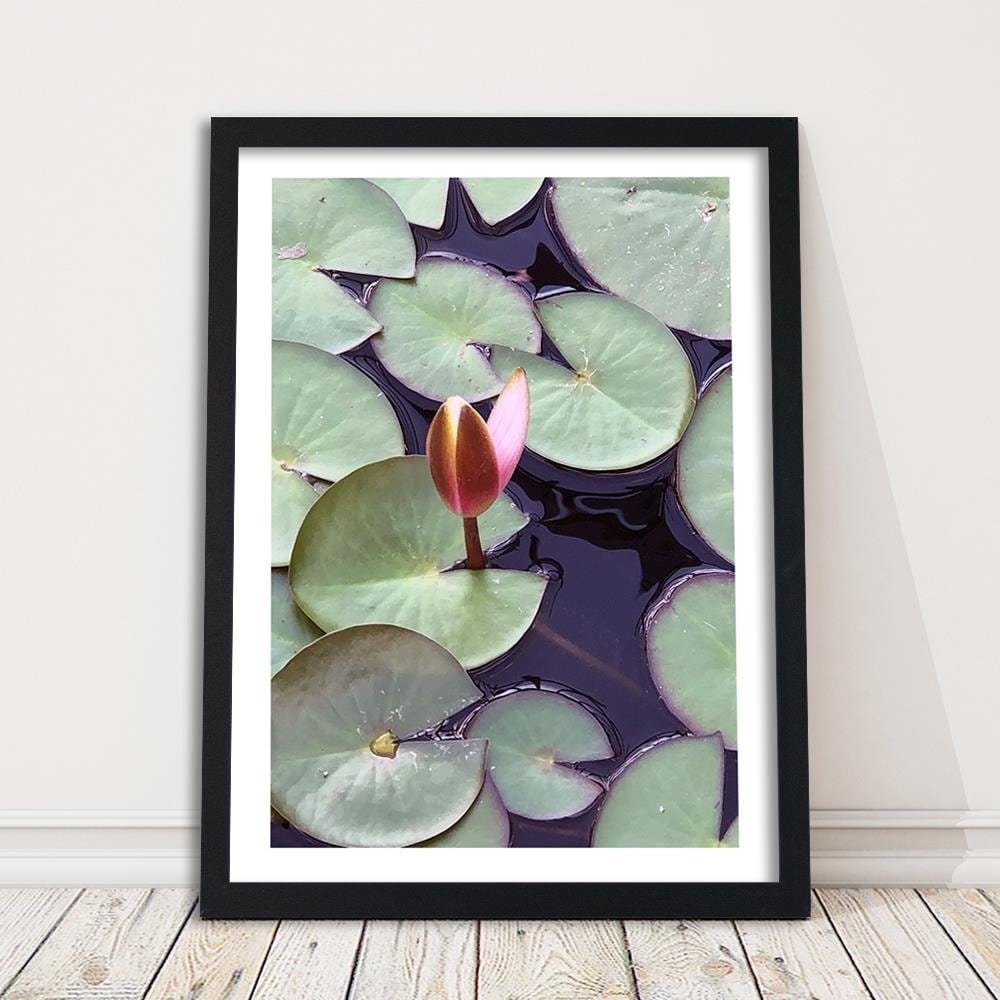 Glezna melnā rāmī - Leaves Of Water Lilies Home Trends