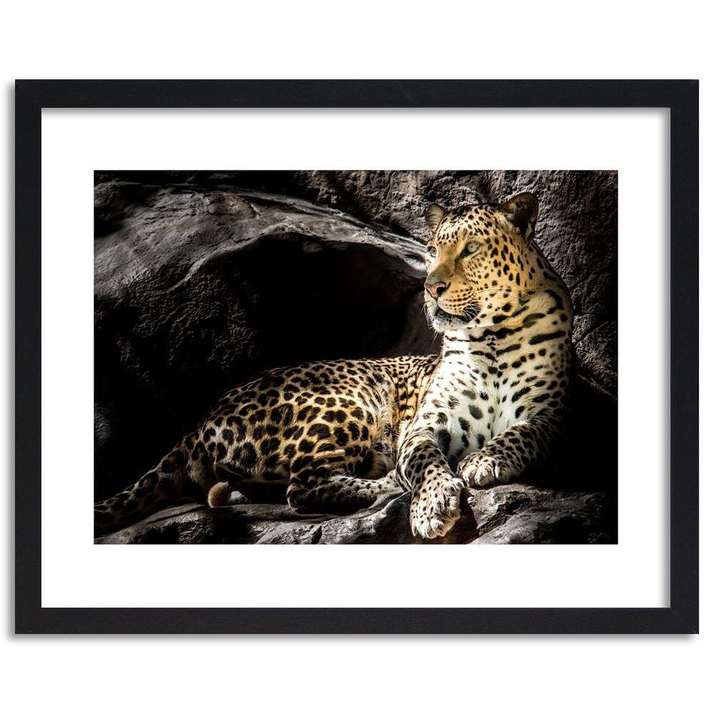 Glezna melnā rāmī - Leopard On The Rocks Home Trends