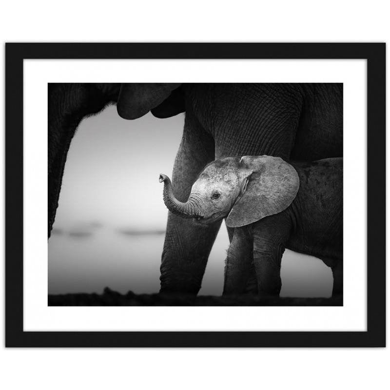 Glezna melnā rāmī - Little elephant 2 Home Trends