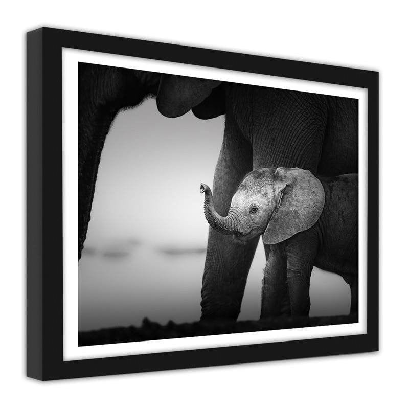 Glezna melnā rāmī - Little elephant 2 Home Trends
