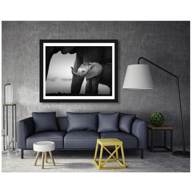 Glezna melnā rāmī - Little elephant 2 Home Trends