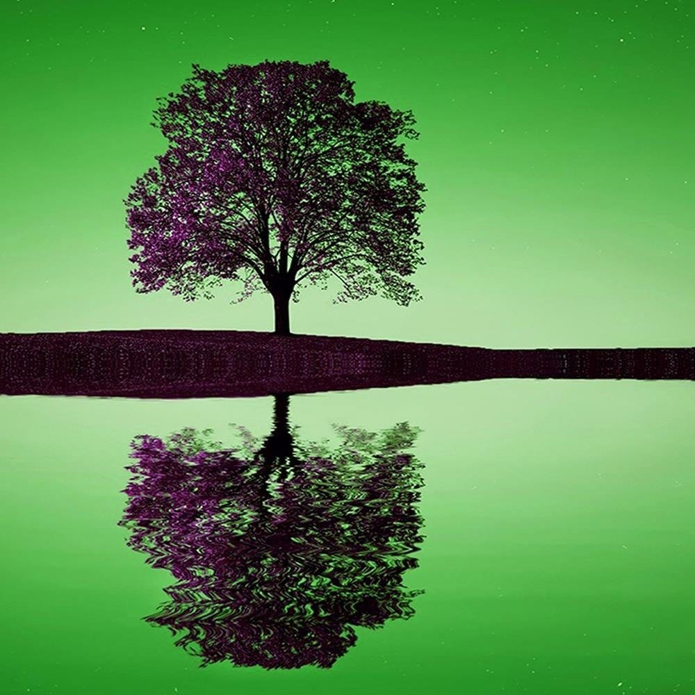 Glezna melnā rāmī - Lone Tree Home Trends