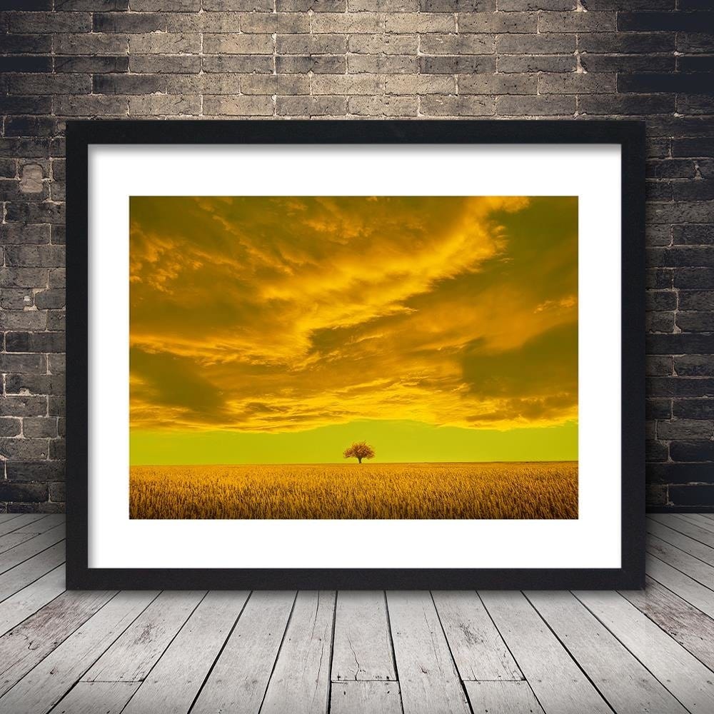 Glezna melnā rāmī - Lone Tree In Field Home Trends