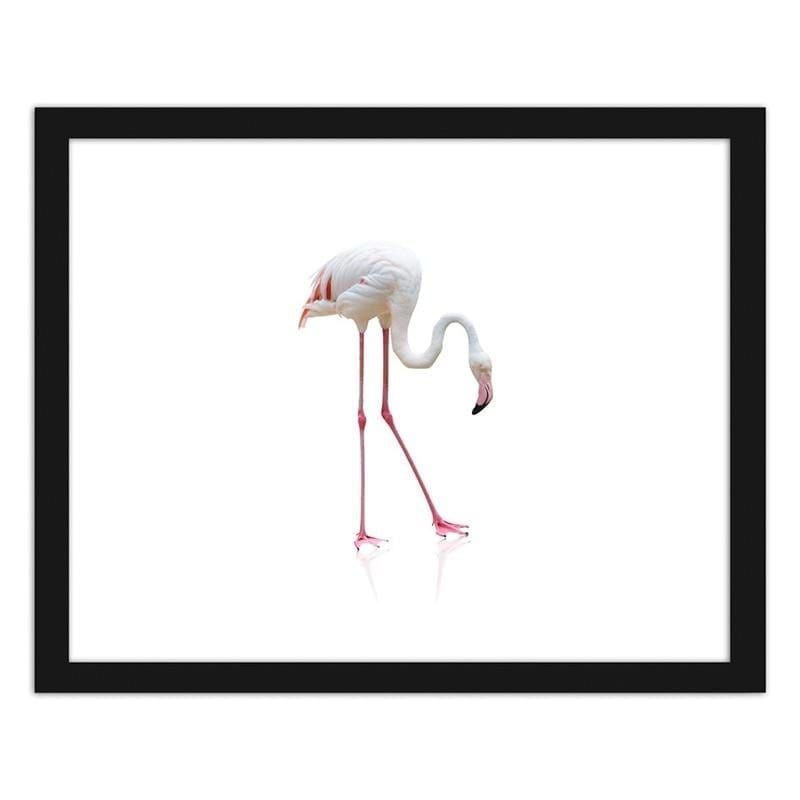 Glezna melnā rāmī - Lonely flamingo Home Trends