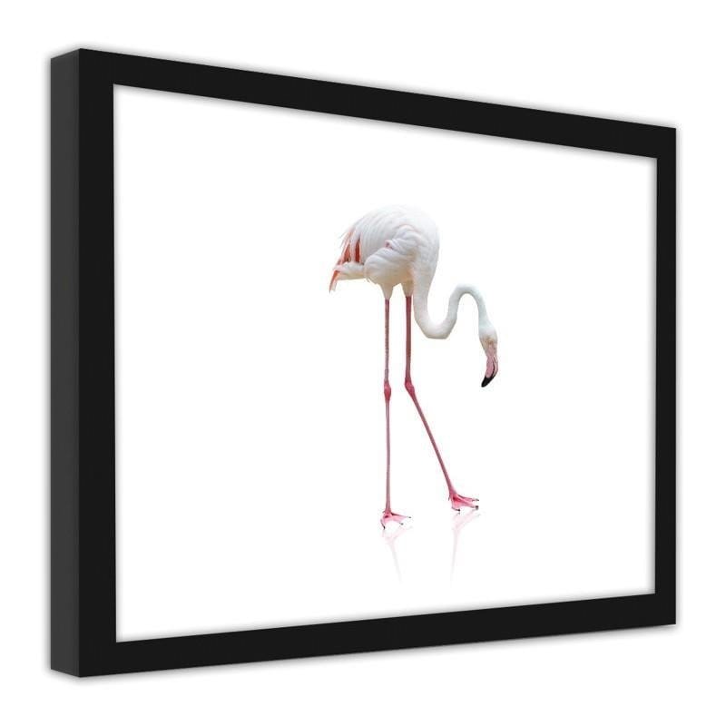 Glezna melnā rāmī - Lonely flamingo Home Trends