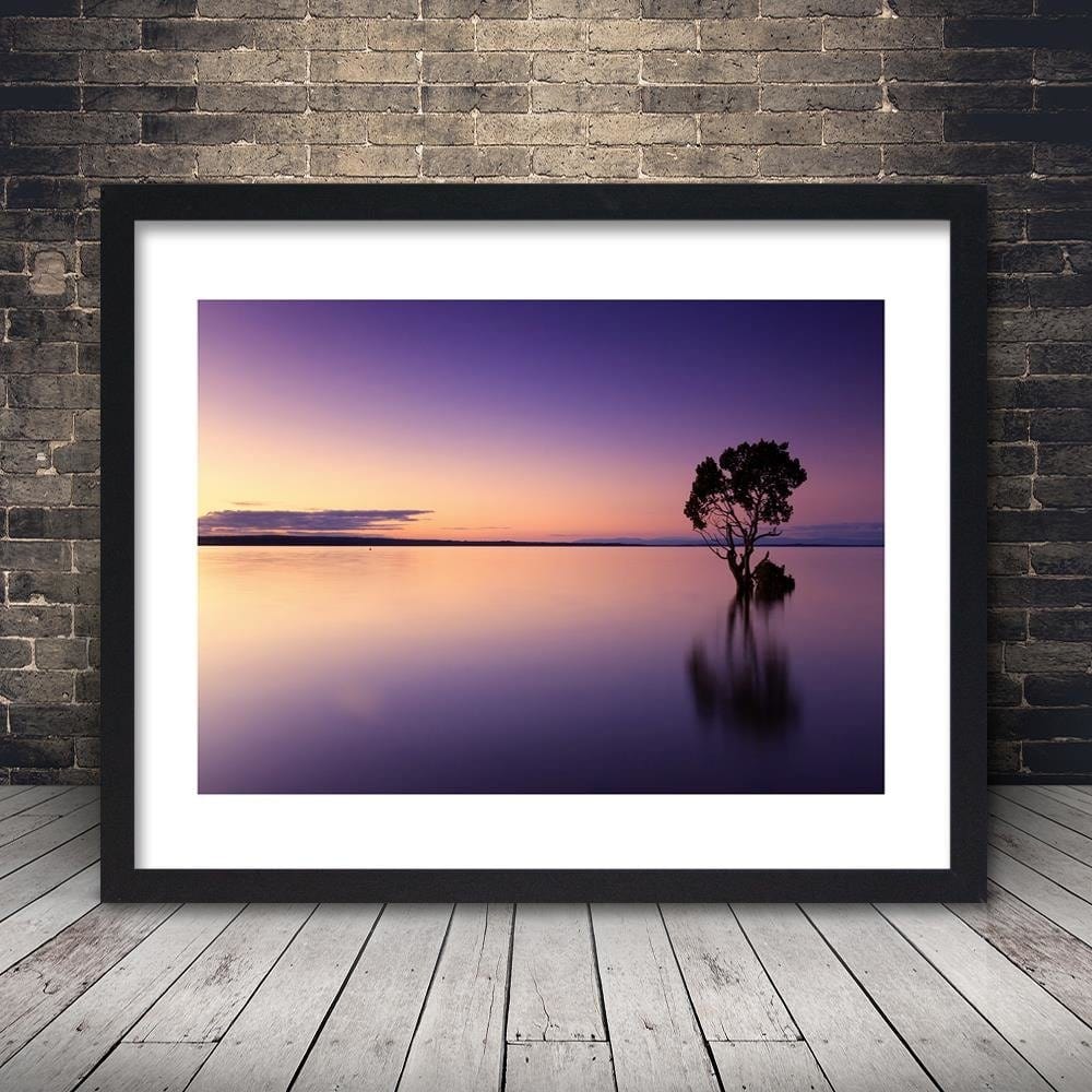 Glezna melnā rāmī - Lonely Tree On The Lake Home Trends