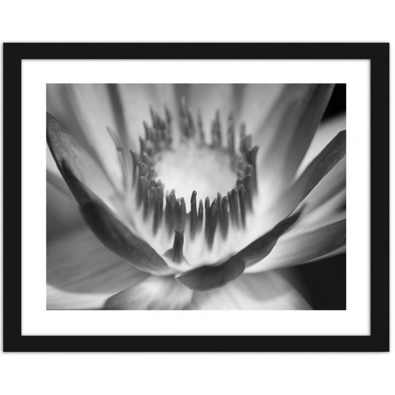Glezna melnā rāmī - Lotus flower Home Trends