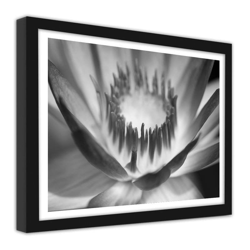Glezna melnā rāmī - Lotus flower Home Trends