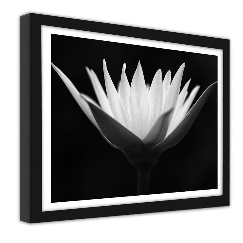 Glezna melnā rāmī - Lotus Home Trends