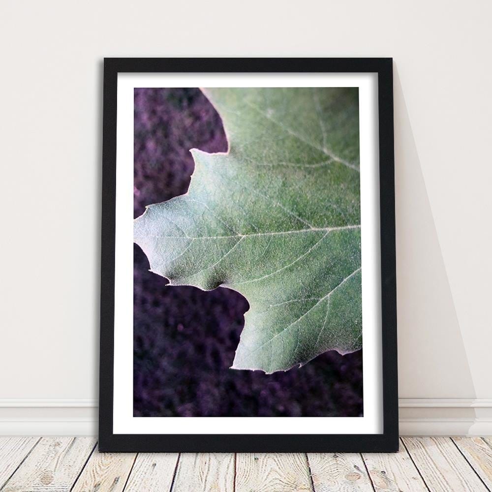 Glezna melnā rāmī - Maple Leaf Home Trends