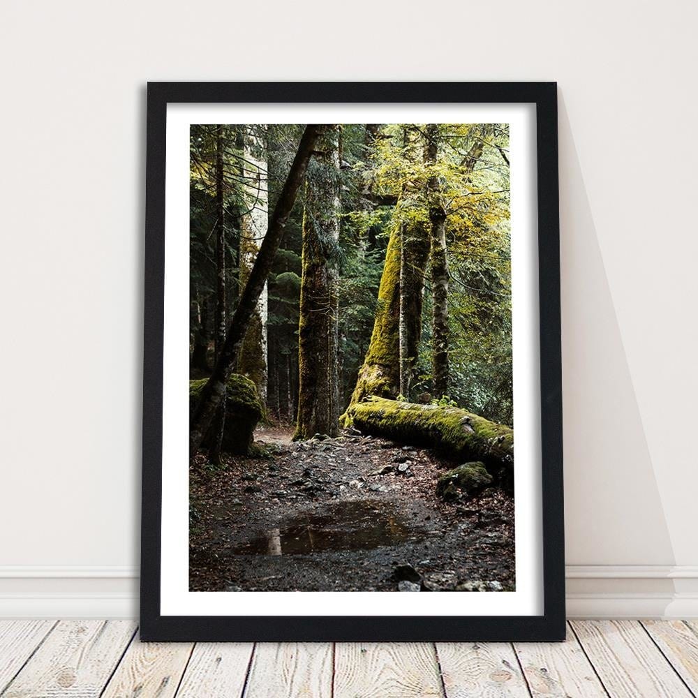 Glezna melnā rāmī - Moss-Covered Tree Home Trends