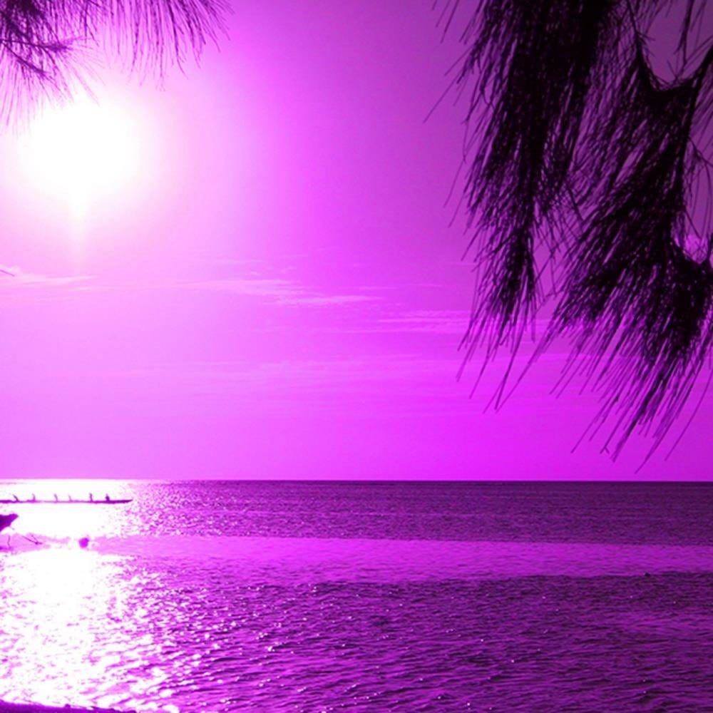 Glezna melnā rāmī - Motor Boat On The Sea Shore 3 Home Trends