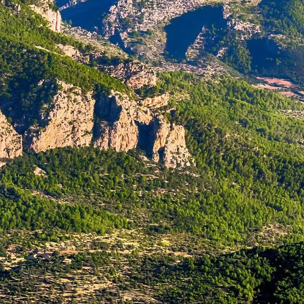 Glezna melnā rāmī - Mountains Covered With Trees Home Trends